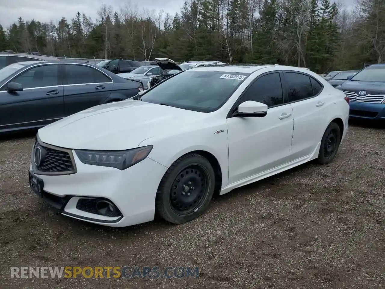 1 Photograph of a damaged car 19UUB1F61KA800995 ACURA TLX 2019