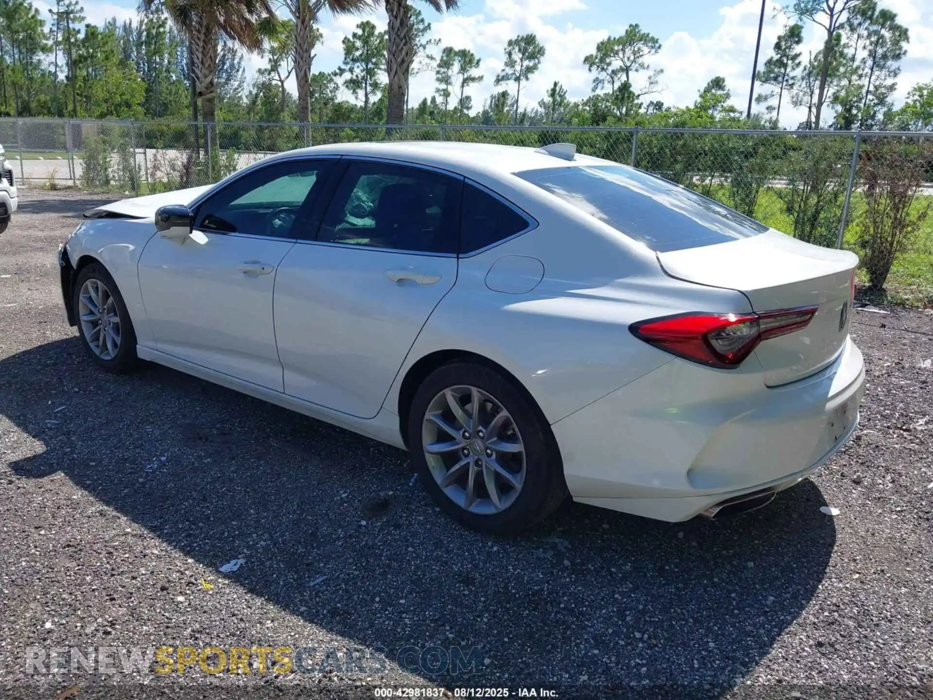 3 Photograph of a damaged car 19UUB5F37NA001143 ACURA TLX 2022