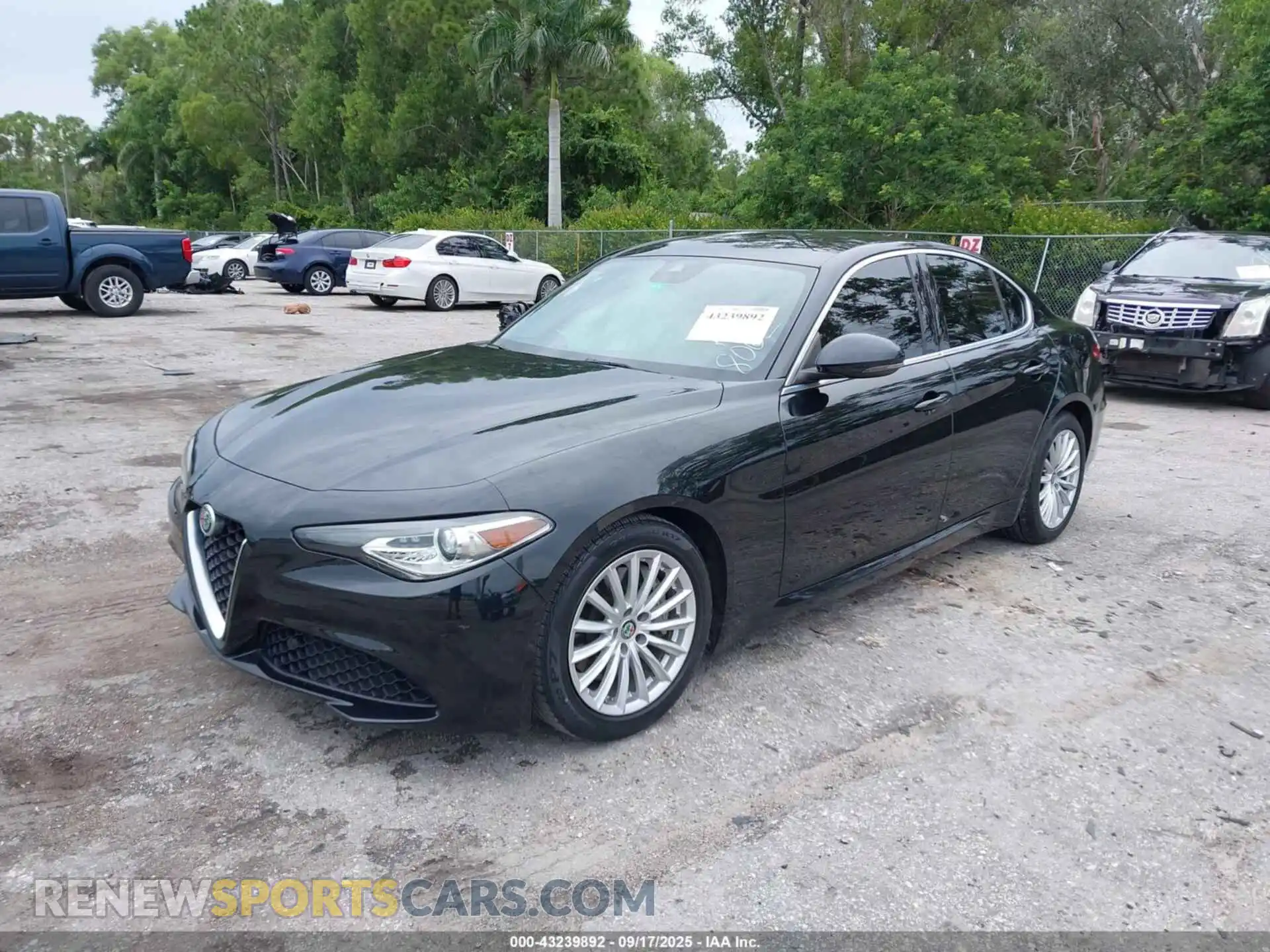 2 Photograph of a damaged car ZARFAMAN0M7648062 ALFA ROMEO GIULIA 2021