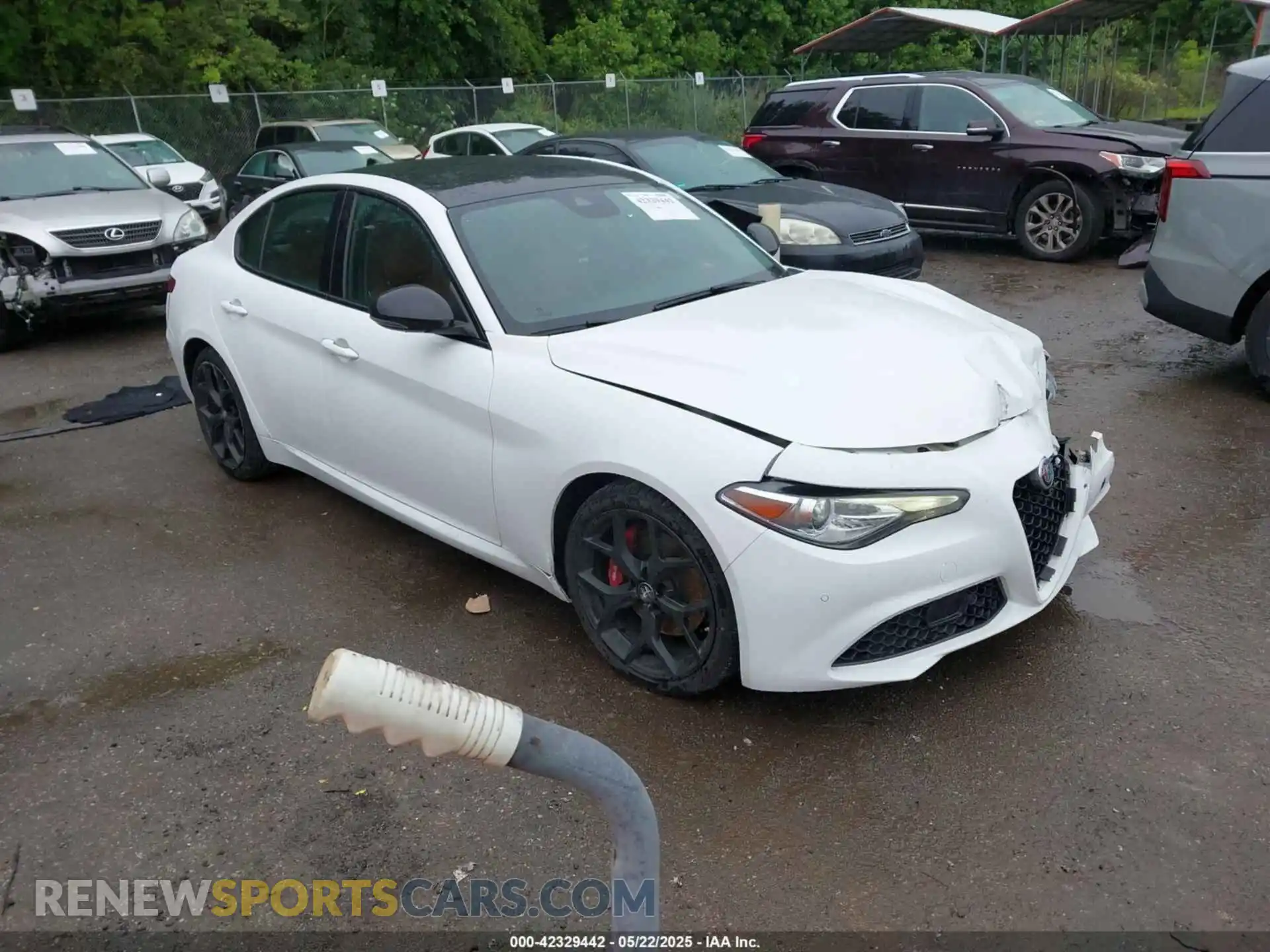 1 Photograph of a damaged car ZARFAMBN9M7640461 ALFA ROMEO GIULIA 2021