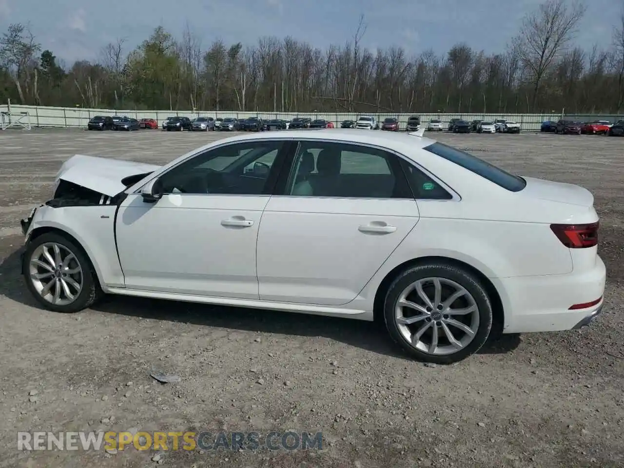 2 Photograph of a damaged car WAUENAF42KN012127 AUDI A4 2019