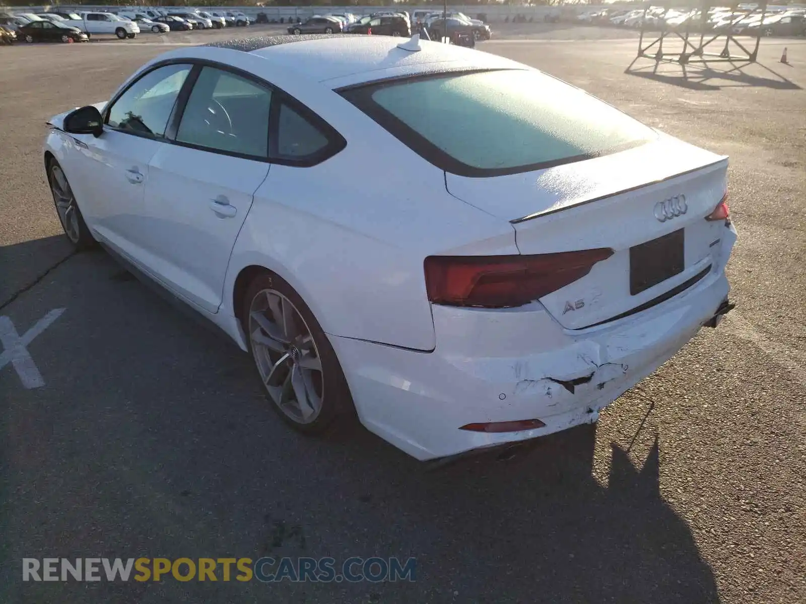 3 Photograph of a damaged car WAUENCF53KA046315 AUDI A5 2019