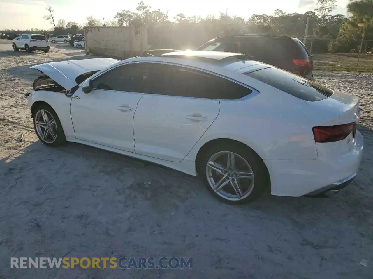 2 Photograph of a damaged car WAUDACF55MA011544 AUDI A5 2021