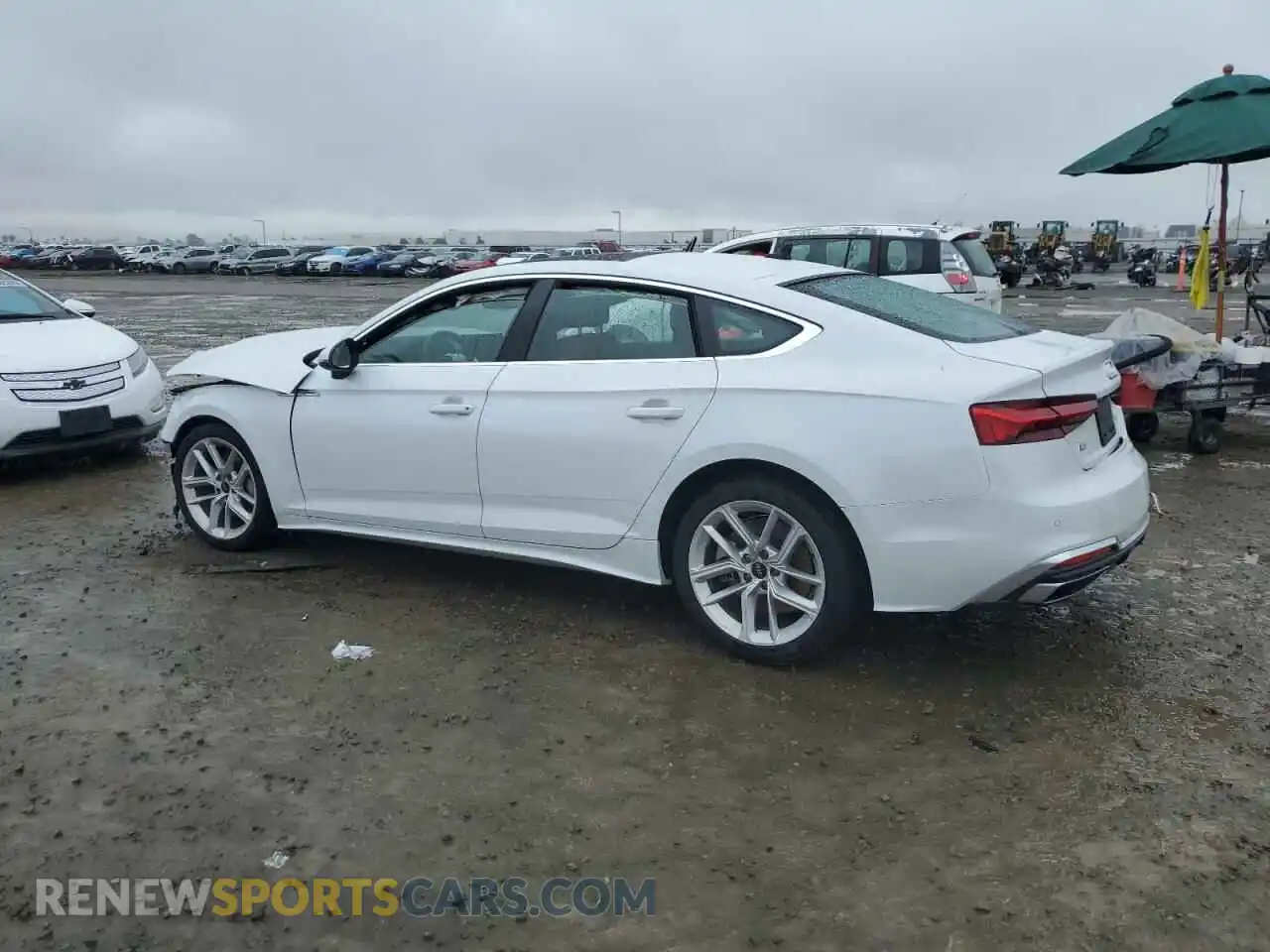 2 Photograph of a damaged car WAUDACF55RA055857 AUDI A5 2024