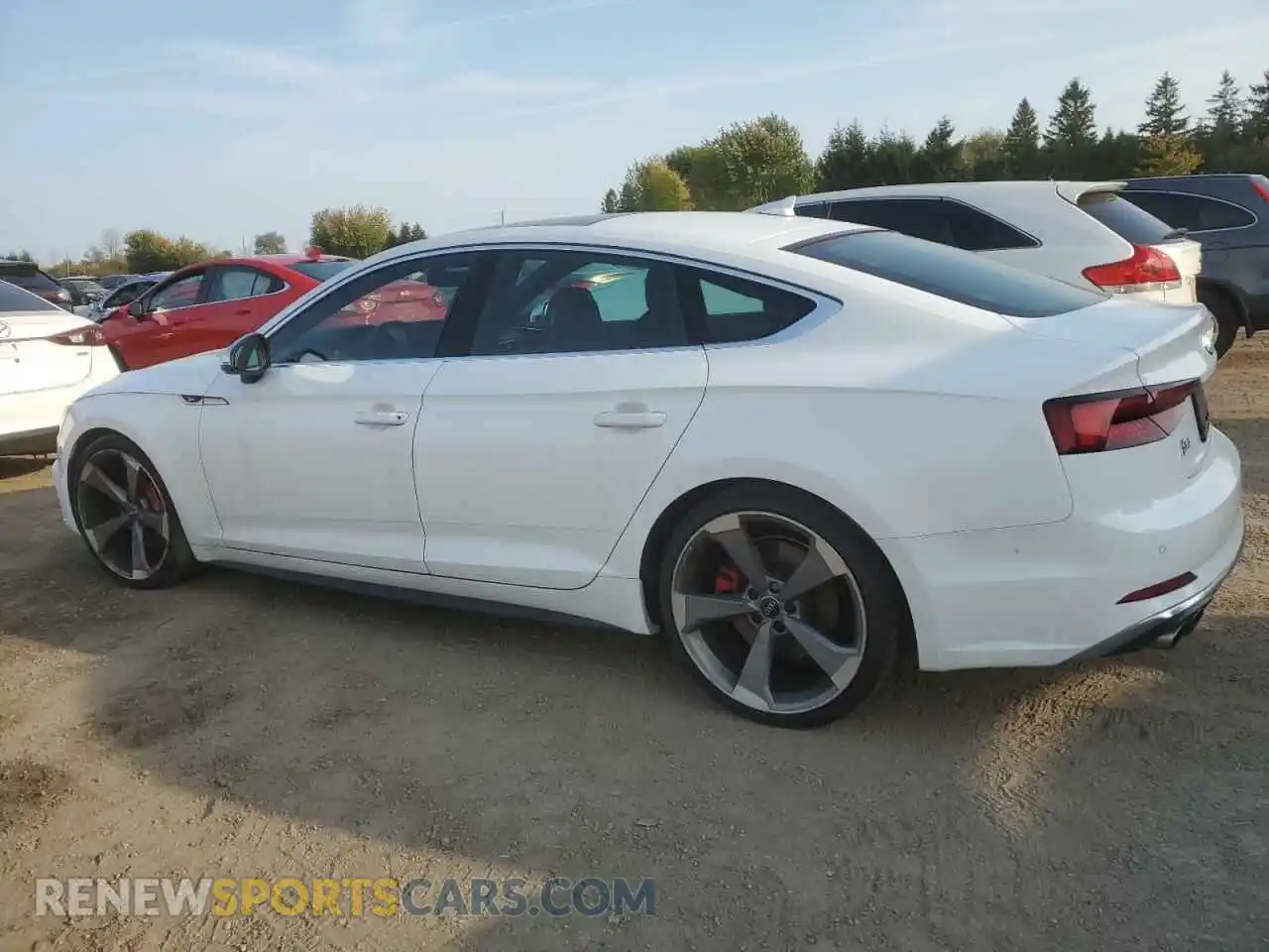 2 Фотография поврежденного автомобиля WAUC4CF55KA071856 AUDI S5/RS5 2019