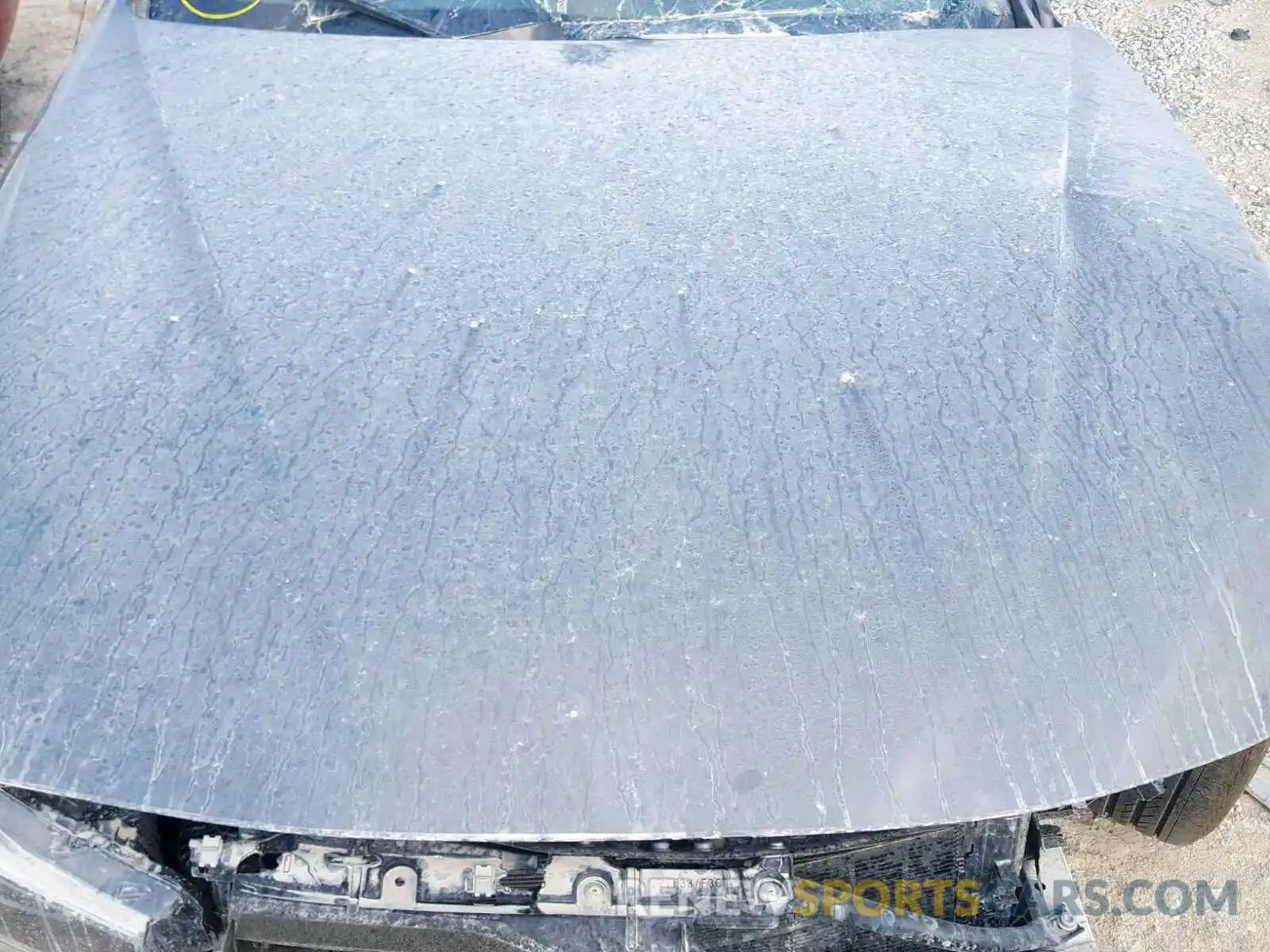 7 Photograph of a damaged car WBA4J5C52KBU79075 BMW 4 SERIES 2019