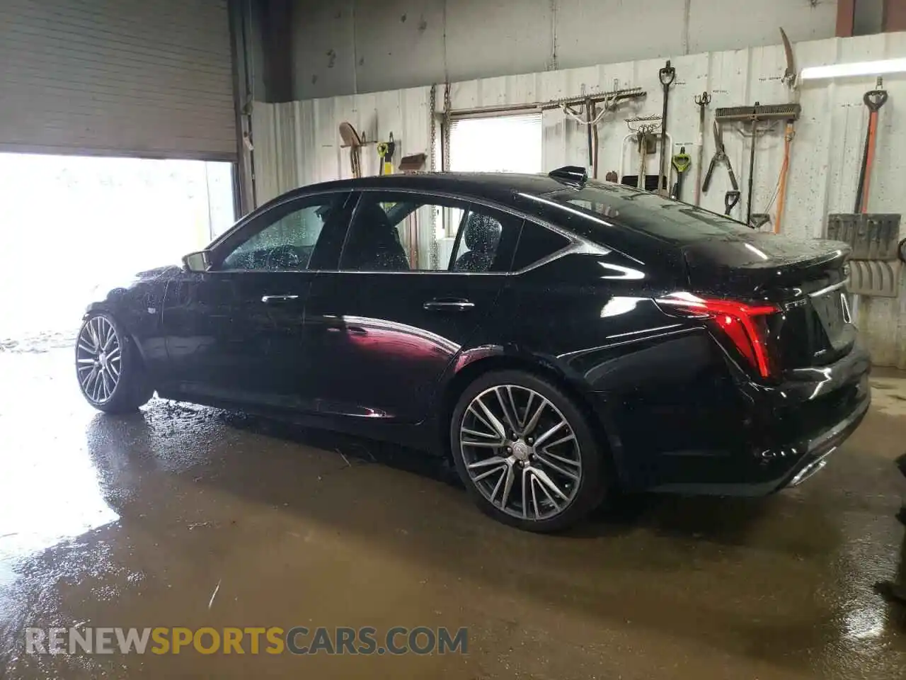2 Photograph of a damaged car 1G6DS5RW5P0104481 CADILLAC CT5 2023