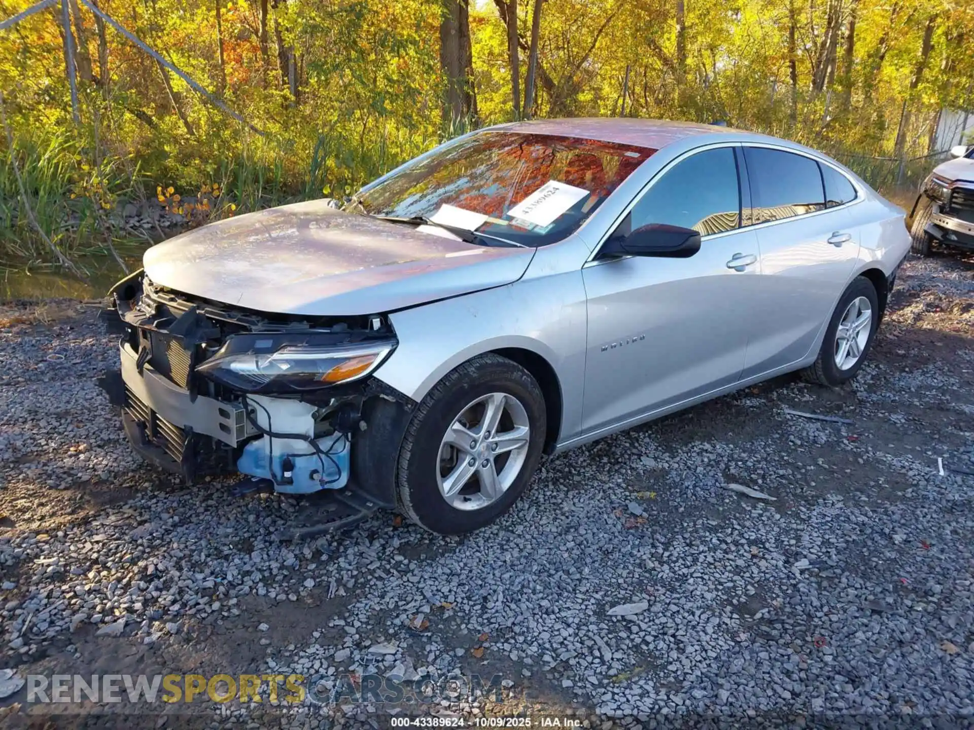 2 Photograph of a damaged car 1G1ZB5ST3MF030904 CHEVROLET MALIBU 2021
