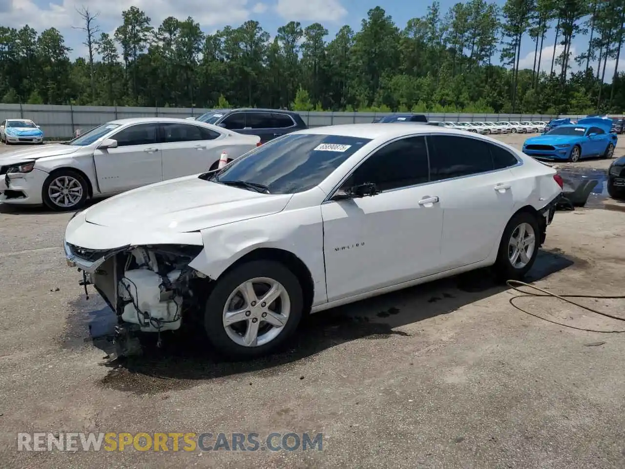 1 Photograph of a damaged car 1G1ZB5ST8MF059444 CHEVROLET MALIBU 2021