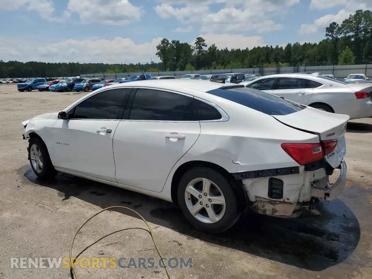 2 Photograph of a damaged car 1G1ZB5ST8MF059444 CHEVROLET MALIBU 2021