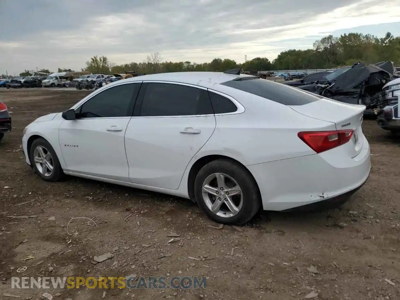 2 Photograph of a damaged car 1G1ZB5STXMF017275 CHEVROLET MALIBU 2021