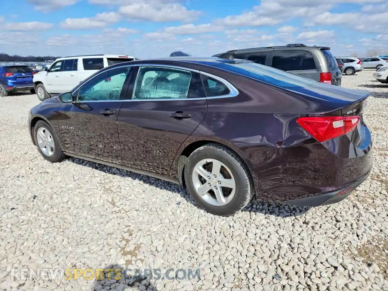 2 Фотография поврежденного автомобиля 1G1ZC5STXMF054629 CHEVROLET MALIBU 2021