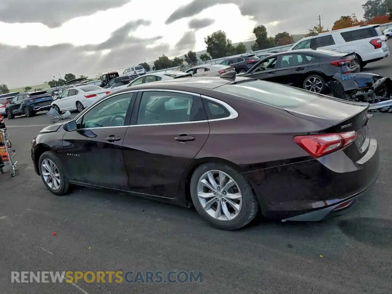 2 fotografías del automóvil dañado 1G1ZD5ST8MF030942 CHEVROLET MALIBU 2021