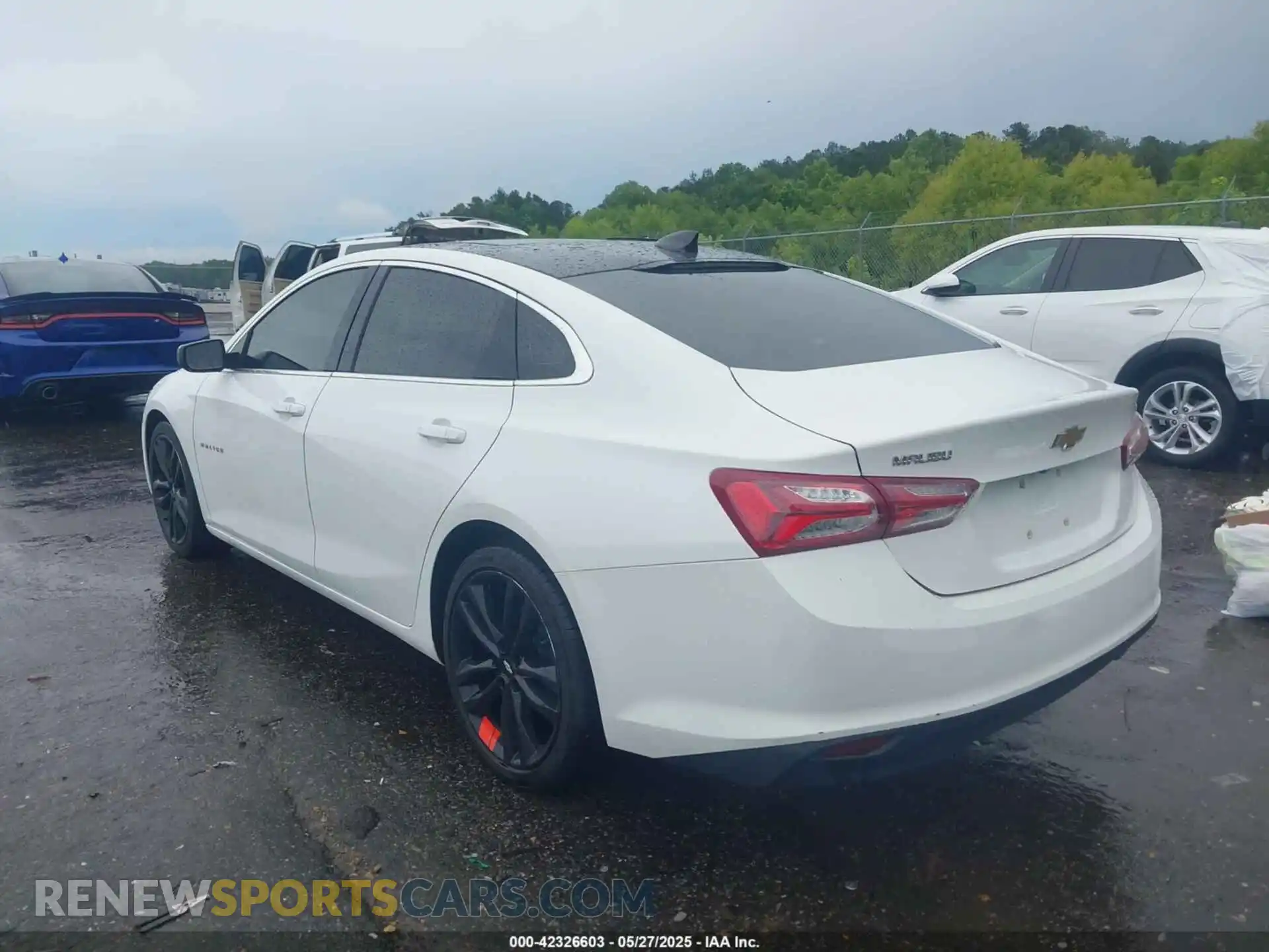 3 Photograph of a damaged car 1G1ZD5STXMF010935 CHEVROLET MALIBU 2021