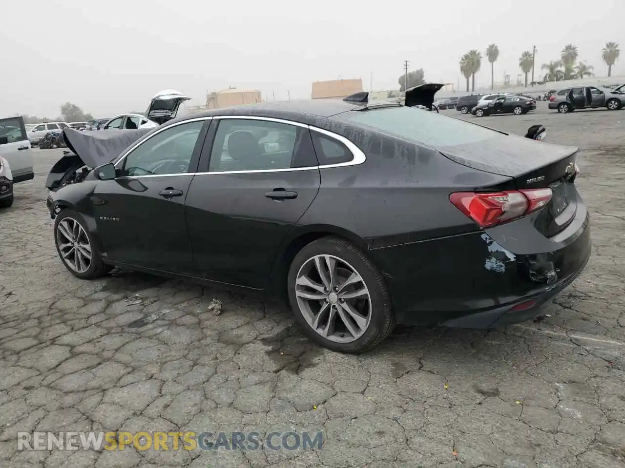 2 Photograph of a damaged car 1G1ZD5STXMF072819 CHEVROLET MALIBU 2021