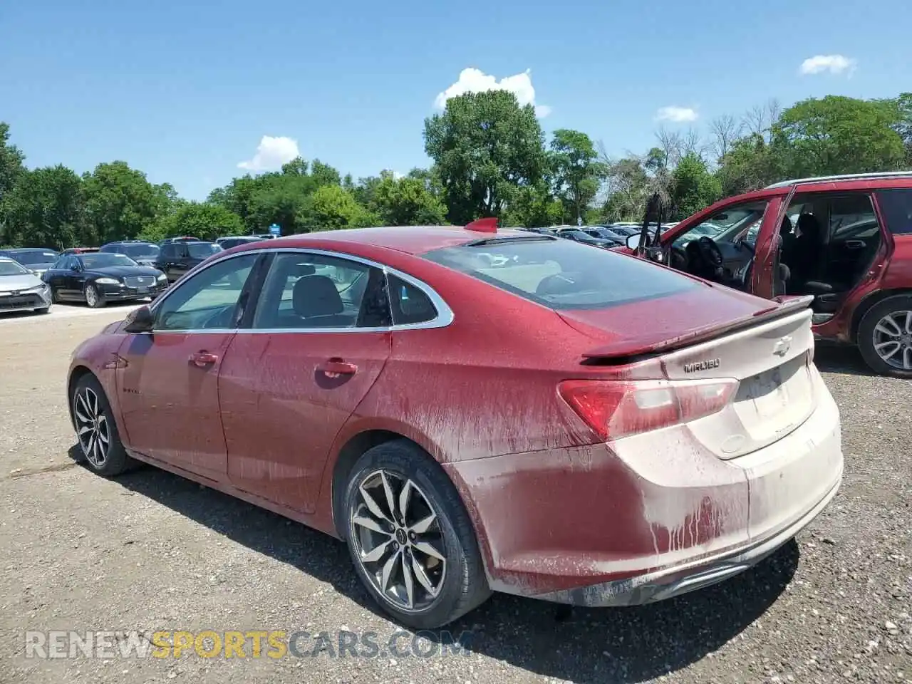 2 Photograph of a damaged car 1G1ZG5ST3MF085645 CHEVROLET MALIBU 2021