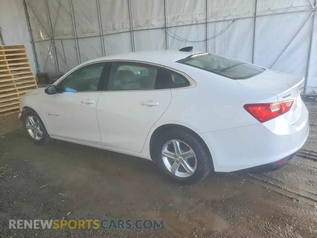2 Фотография поврежденного автомобиля 1G1ZB5ST2RF173656 CHEVROLET MALIBU 2024