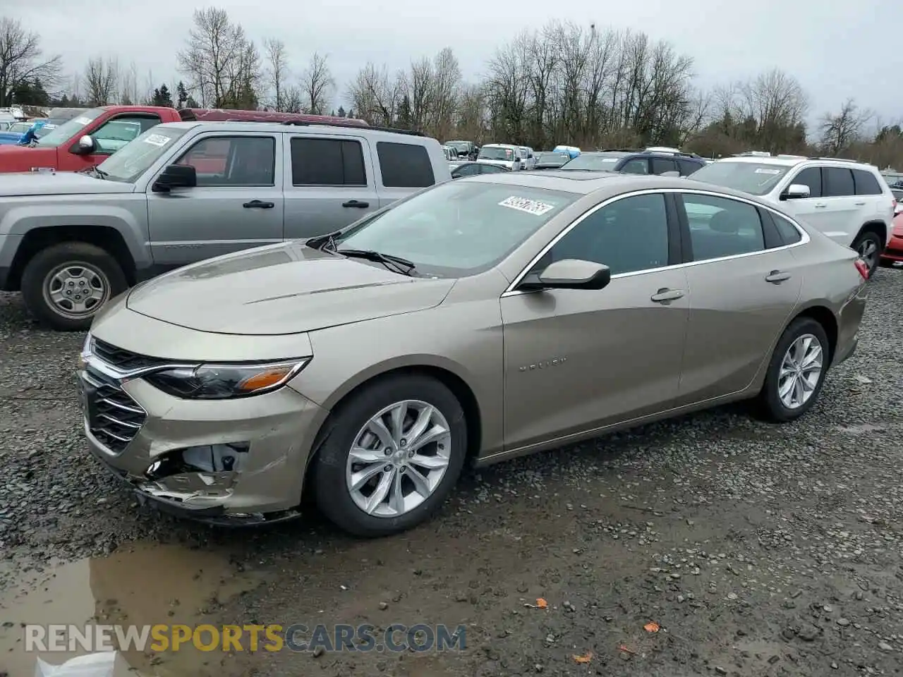 1 Photograph of a damaged car 1G1ZD5ST3RF213902 CHEVROLET MALIBU 2024