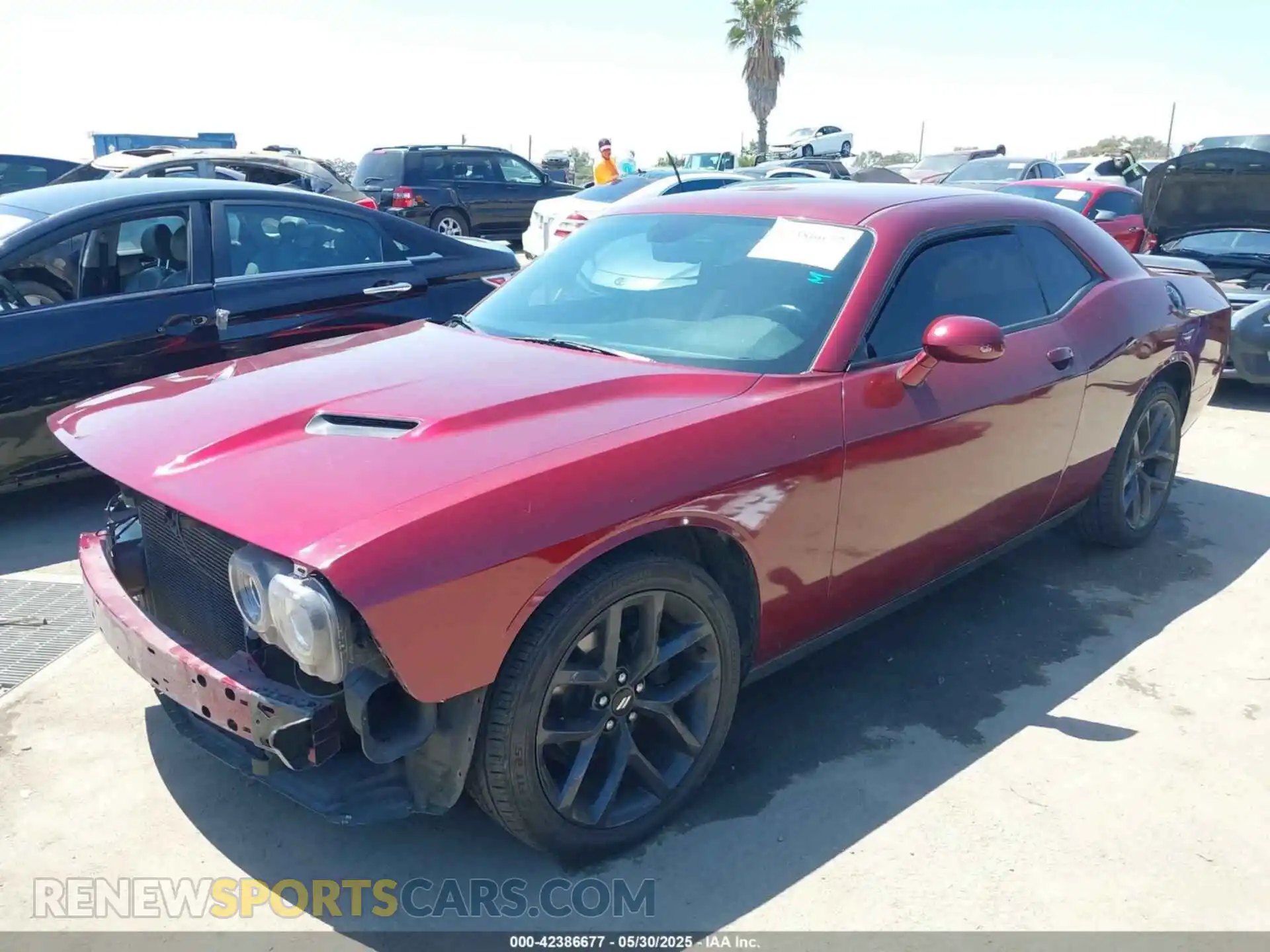 2 fotografías del automóvil dañado 2C3CDZAG0KH677232 DODGE CHALLENGER 2019