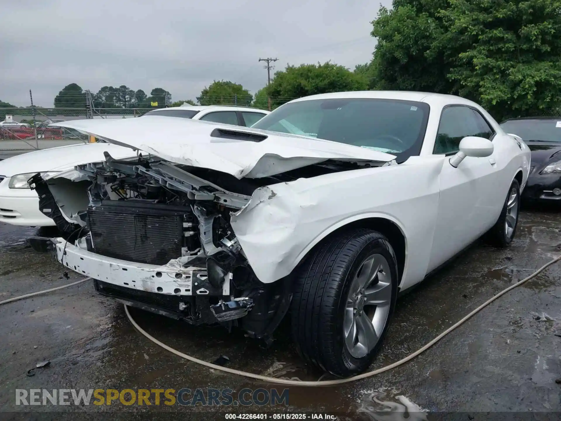 2 Photograph of a damaged car 2C3CDZAG7KH670018 DODGE CHALLENGER 2019