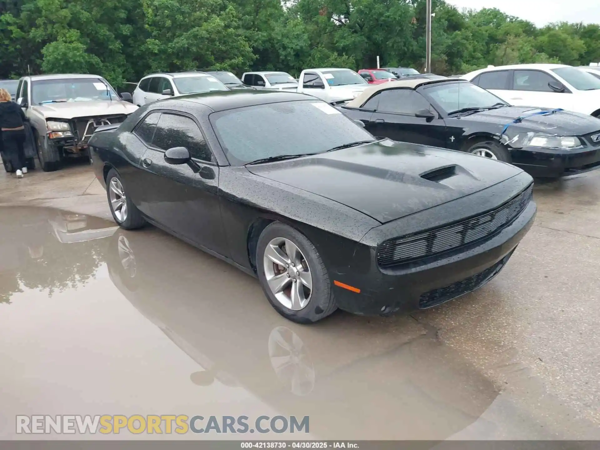 1 Photograph of a damaged car 2C3CDZBT6KH504293 DODGE CHALLENGER 2019