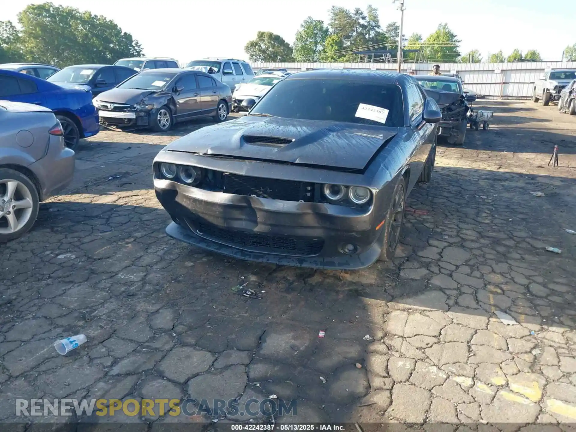 2 Photograph of a damaged car 2C3CDZJG8KH660954 DODGE CHALLENGER 2019