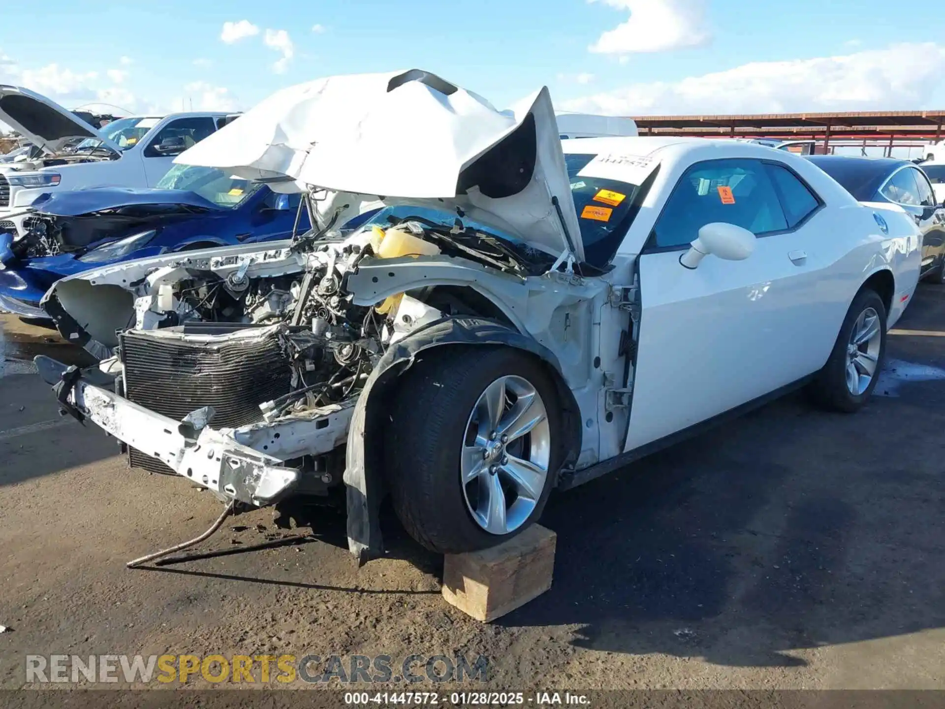 2 Photograph of a damaged car 2C3CDZAG5MH546901 DODGE CHALLENGER 2021