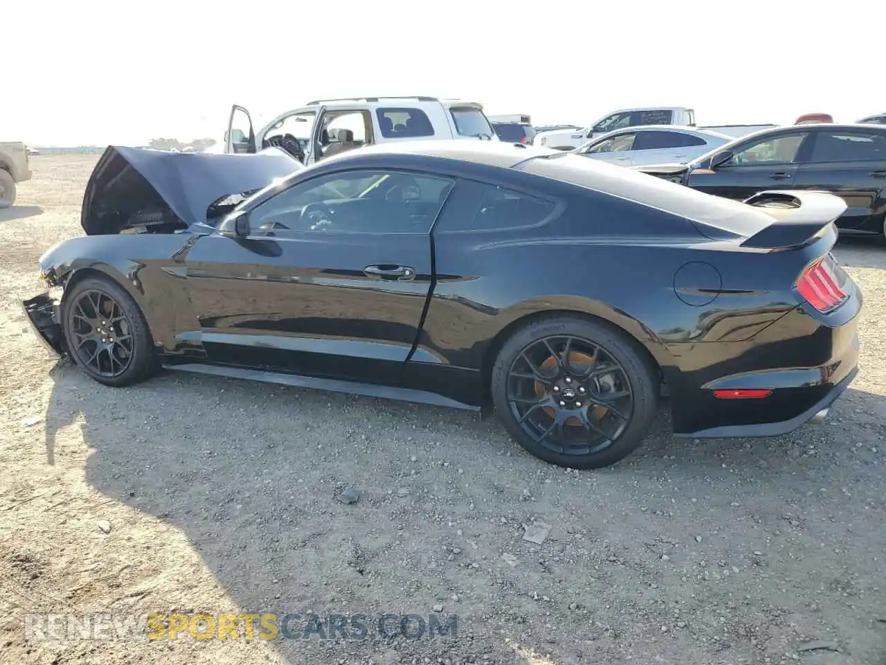 2 Photograph of a damaged car 1FA6P8TH5K5201720 FORD ALL Models 2019