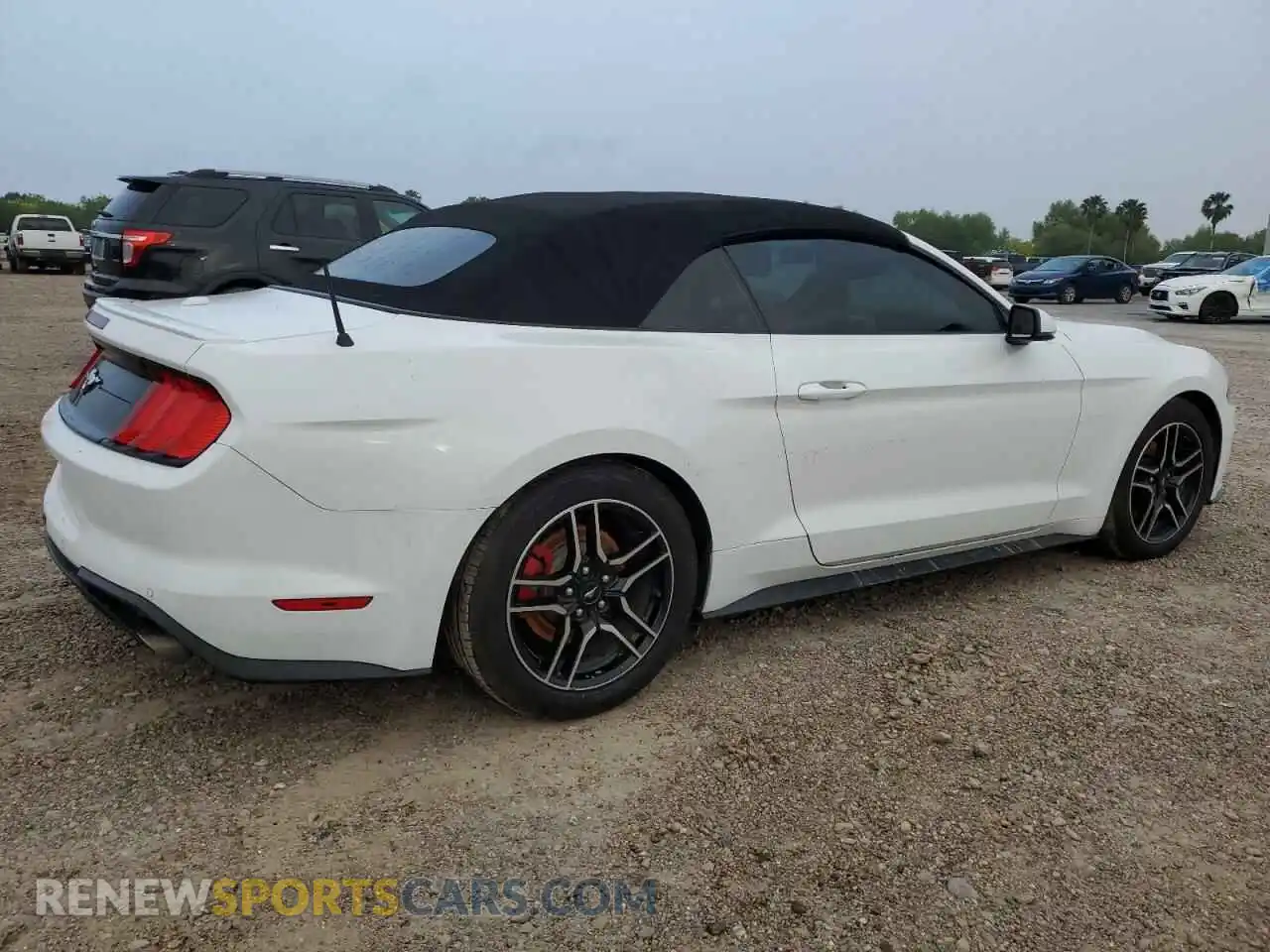 3 Photograph of a damaged car 1FATP8UHXK5171051 FORD ALL Models 2019