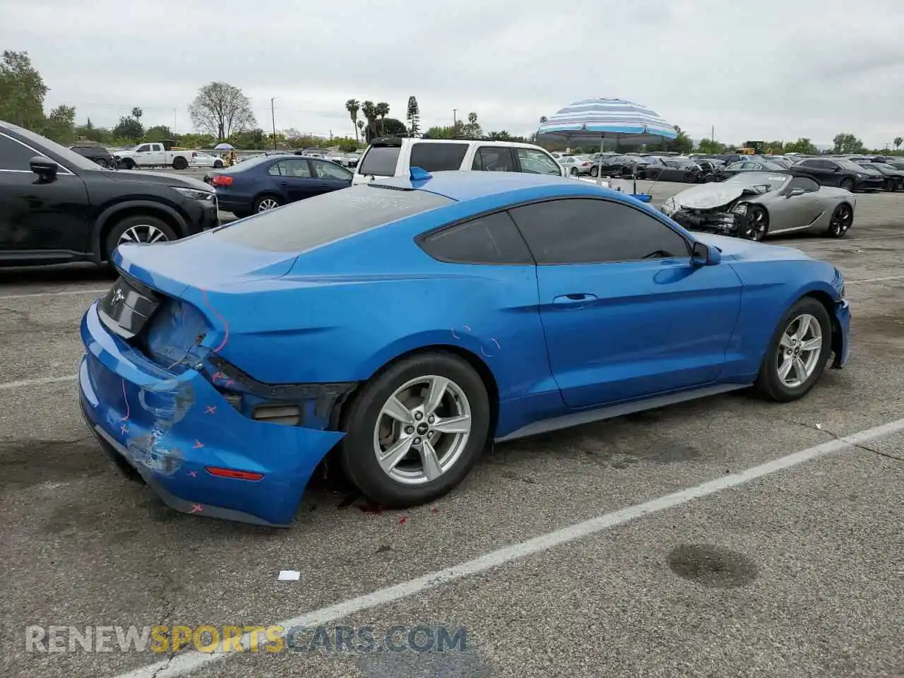 3 Photograph of a damaged car 1FA6P8TH5M5148701 FORD ALL Models 2021