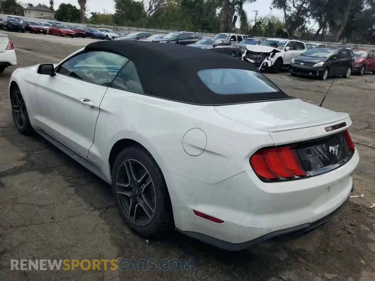 2 Фотография поврежденного автомобиля 1FATP8UH8P5110787 FORD ALL Models 2023
