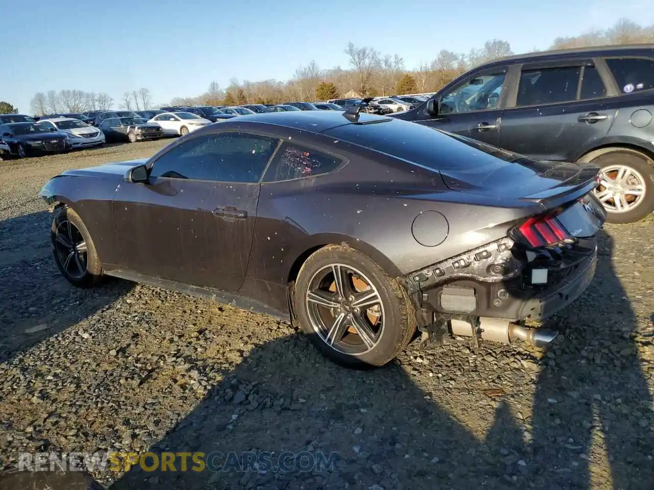 2 Photograph of a damaged car 1FA6P8TH4R5111551 FORD ALL Models 2024