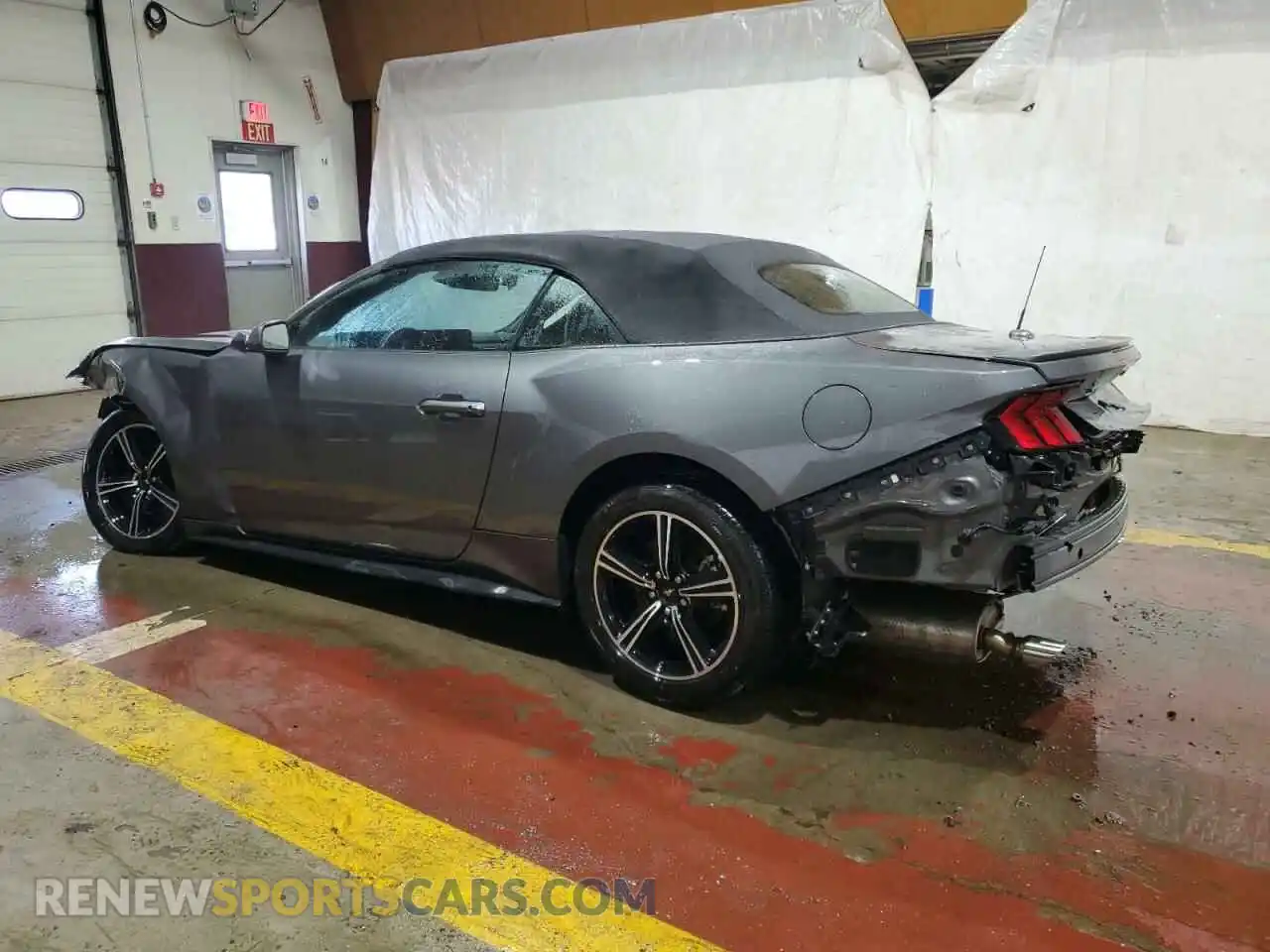 2 Photograph of a damaged car 1FAGP8UH1R5136541 FORD ALL Models 2024