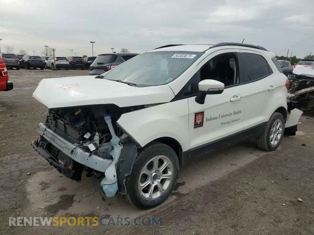 1 fotografías del automóvil dañado MAJ6S3GL3MC436244 FORD ECOSPORT 2021