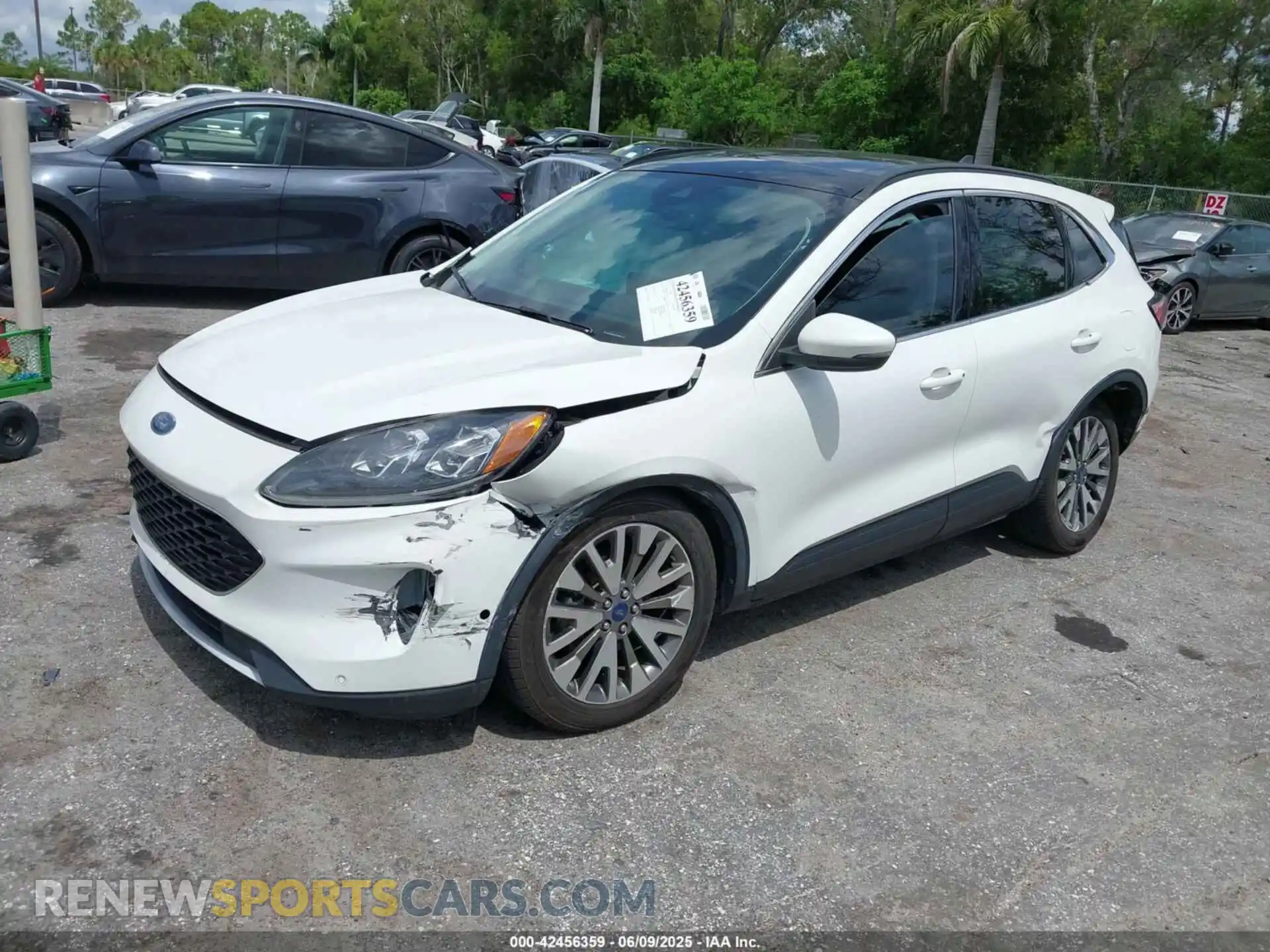 2 fotografías del automóvil dañado 1FMCU0DZ3LUC07842 FORD ESCAPE 2020