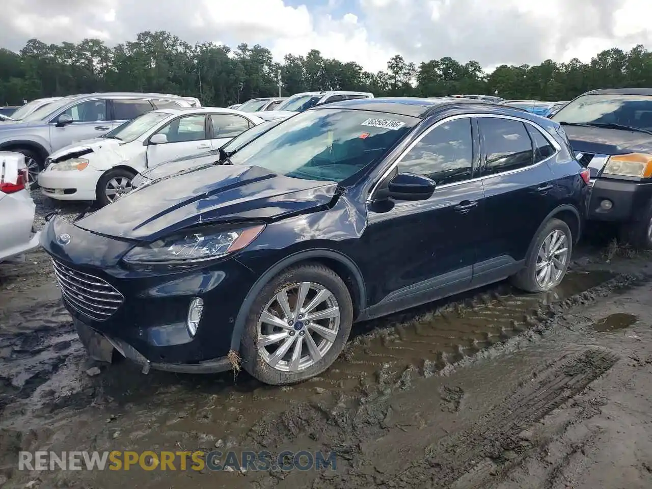 1 fotografías del automóvil dañado 1FMCU0DZ9MUA30294 FORD ESCAPE 2021