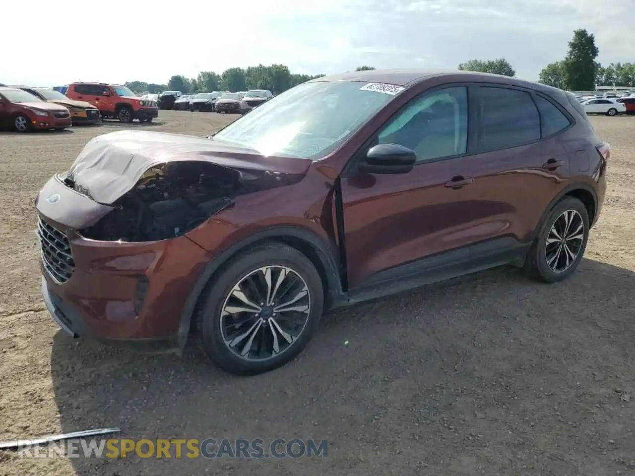 1 Photograph of a damaged car 1FMCU0G61MUA08436 FORD ESCAPE 2021