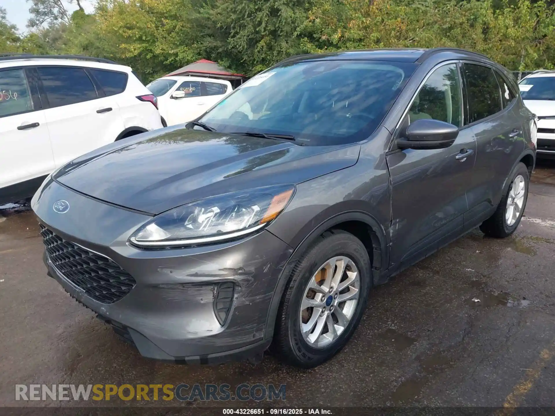 2 Photograph of a damaged car 1FMCU0G66MUA48009 FORD ESCAPE 2021