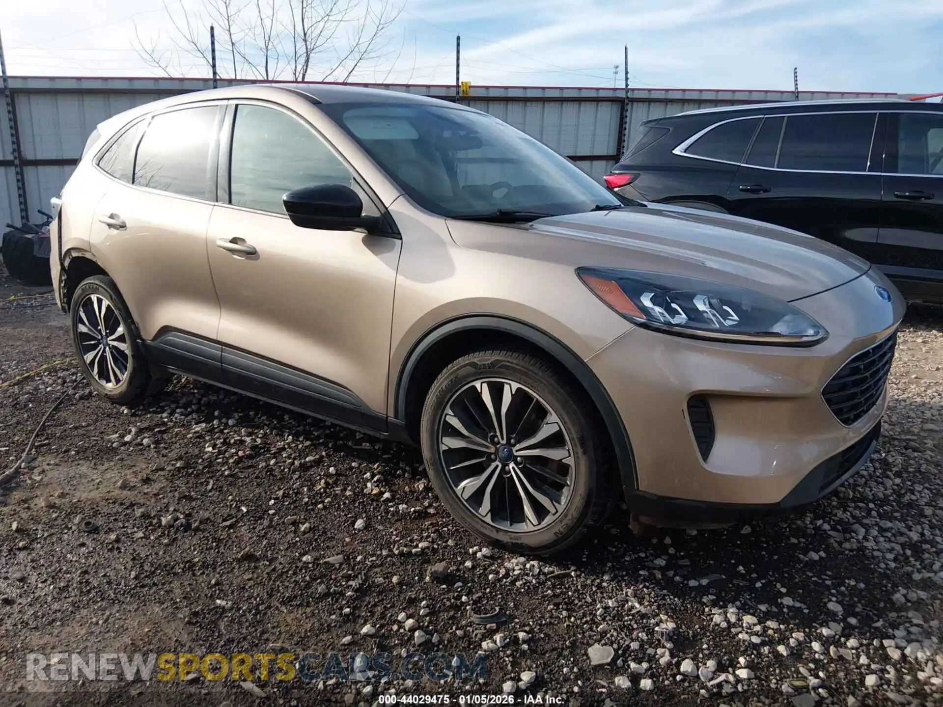 1 Фотография поврежденного автомобиля 1FMCU0G67MUB00313 FORD ESCAPE 2021
