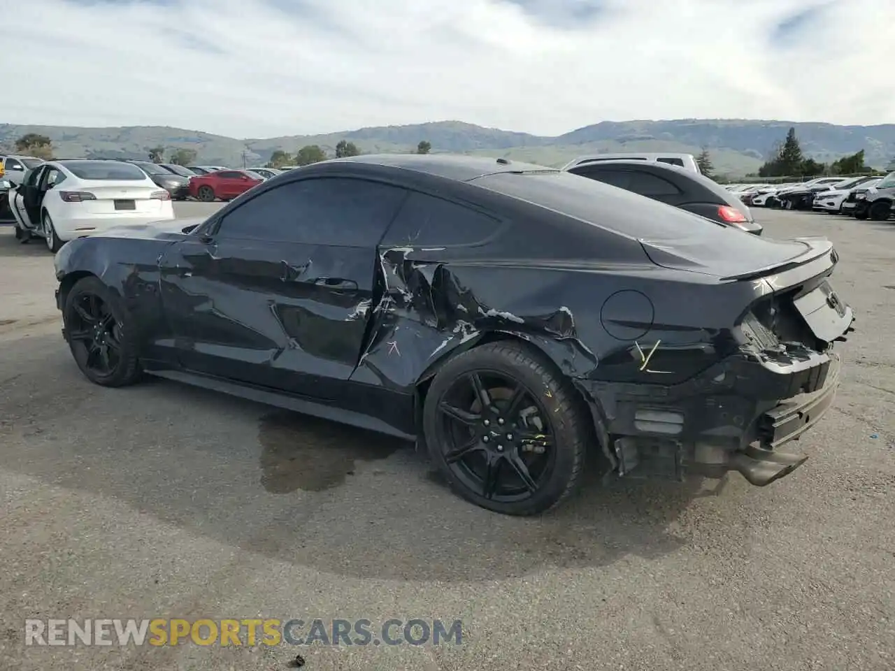 2 Photograph of a damaged car 1FA6P8CF1K5118865 FORD MUSTANG 2019