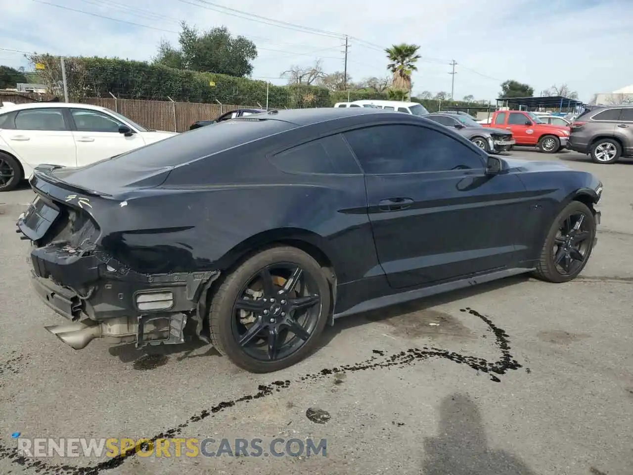 3 Photograph of a damaged car 1FA6P8CF1K5118865 FORD MUSTANG 2019