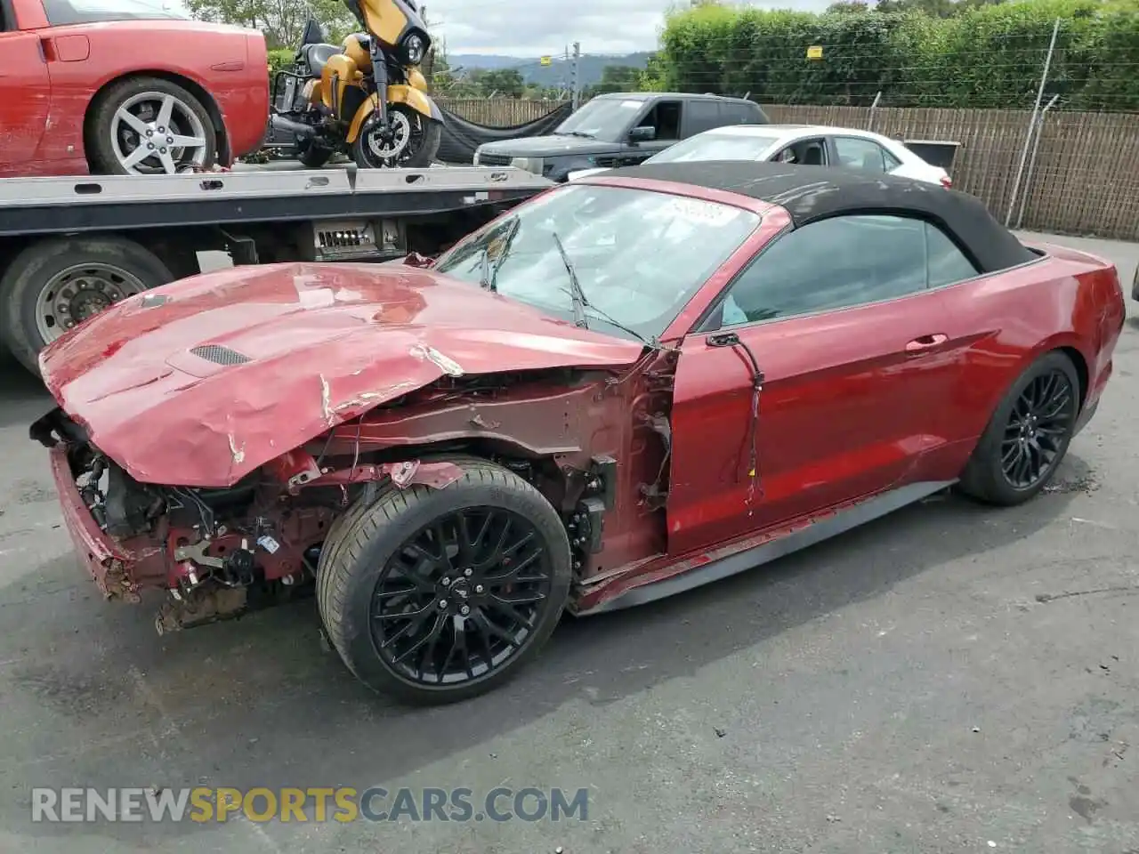 1 Photograph of a damaged car 1FATP8FF4K5193350 FORD MUSTANG 2019