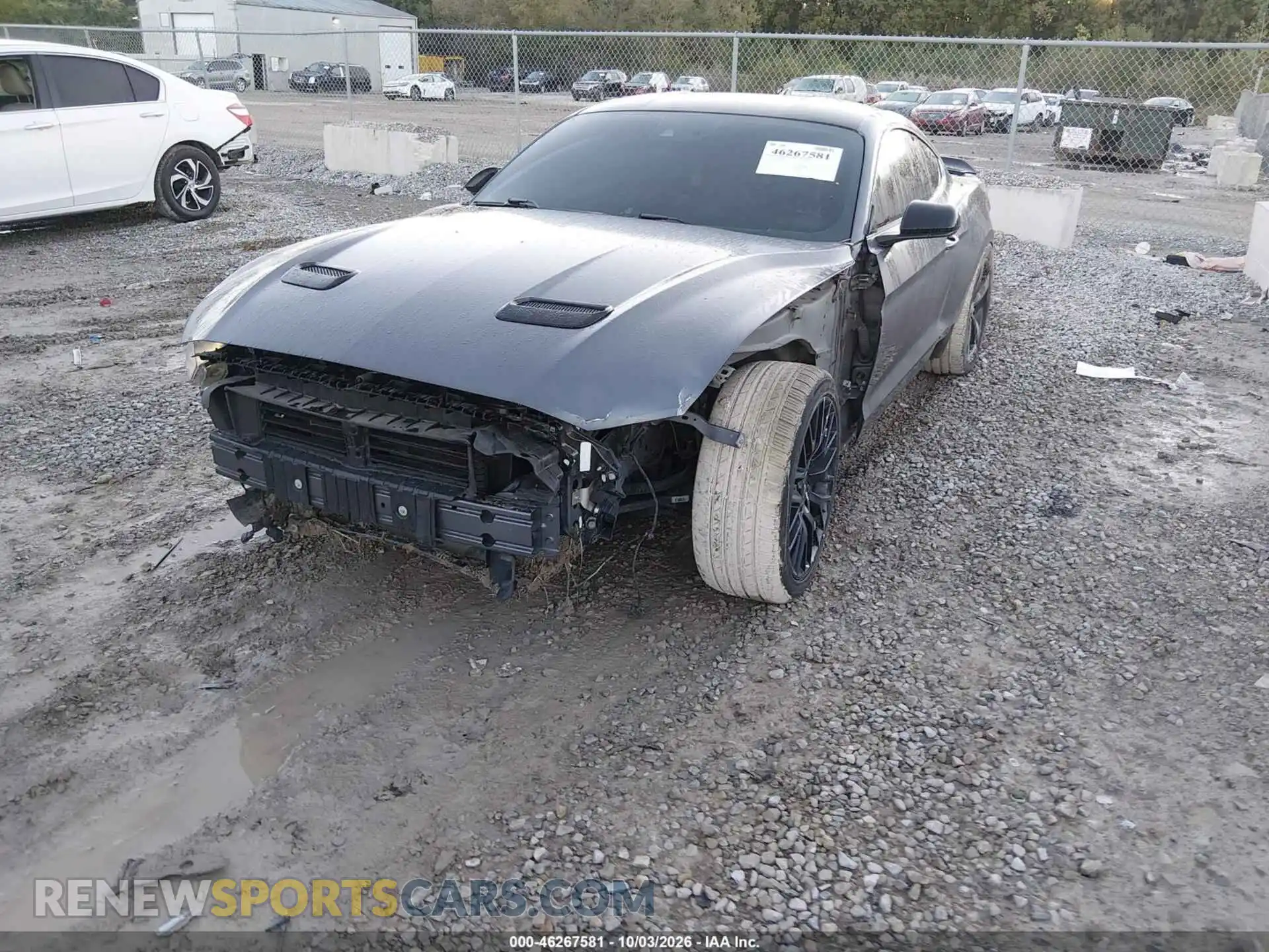2 Photograph of a damaged car 1FA6P8CF8M5125900 FORD MUSTANG 2021