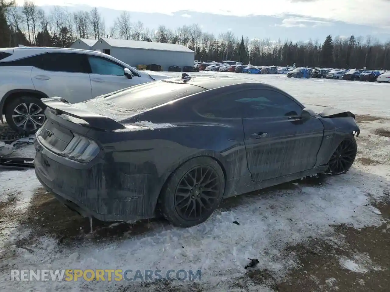 3 Photograph of a damaged car 1FA6P8CFXM5125509 FORD MUSTANG 2021
