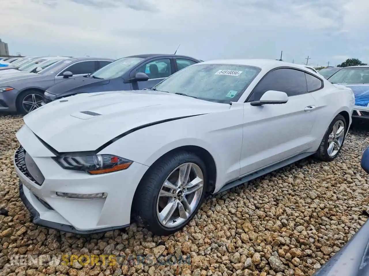 1 fotografías del automóvil dañado 1FA6P8TH0M5101057 FORD MUSTANG 2021