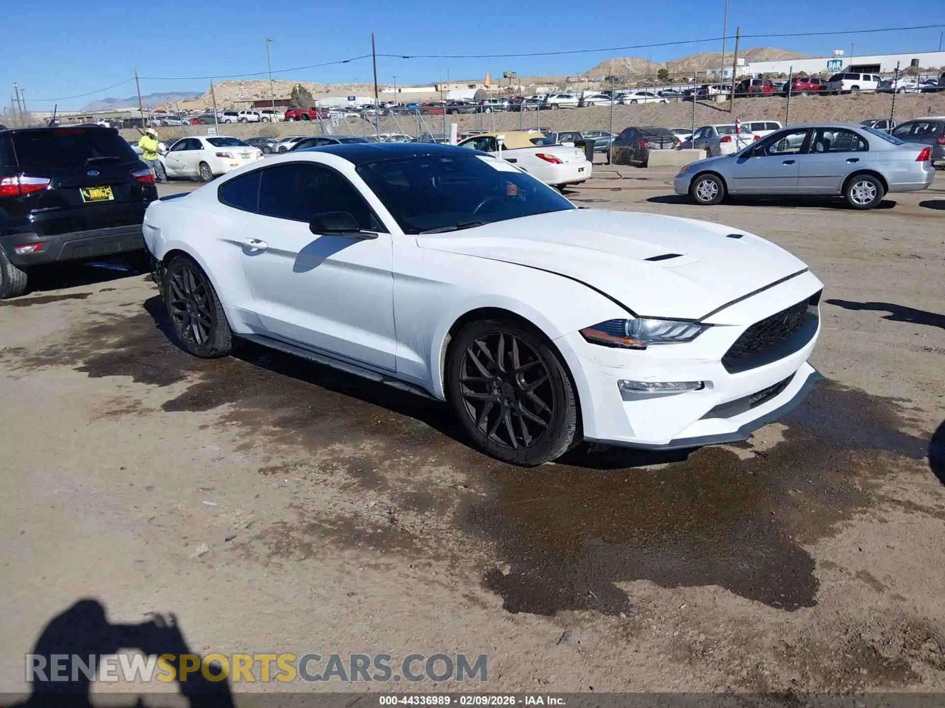 1 Photograph of a damaged car 1FA6P8TH1M5109202 FORD MUSTANG 2021