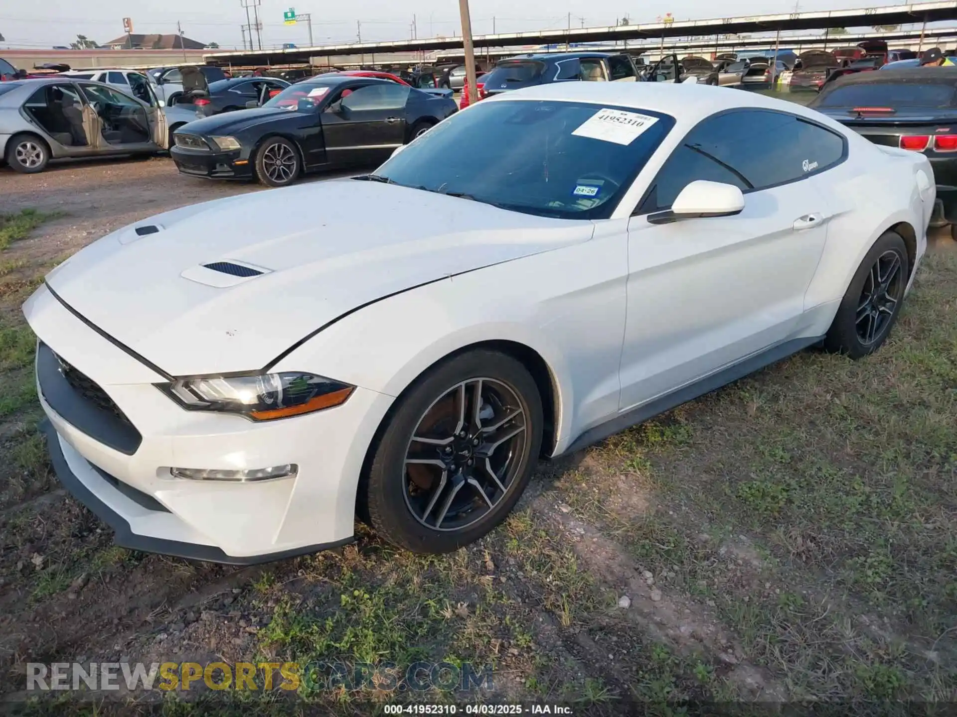 2 Photograph of a damaged car 1FA6P8TH2M5135131 FORD MUSTANG 2021