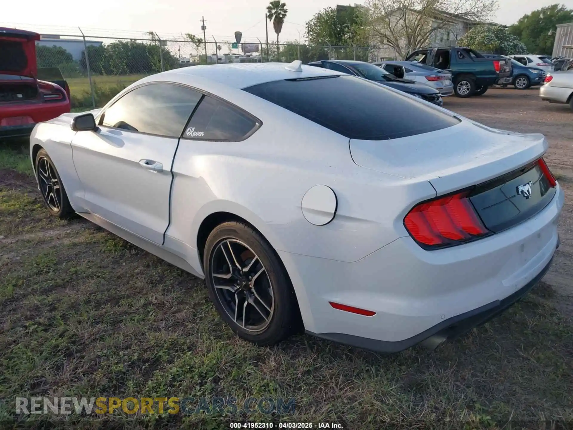 3 Photograph of a damaged car 1FA6P8TH2M5135131 FORD MUSTANG 2021
