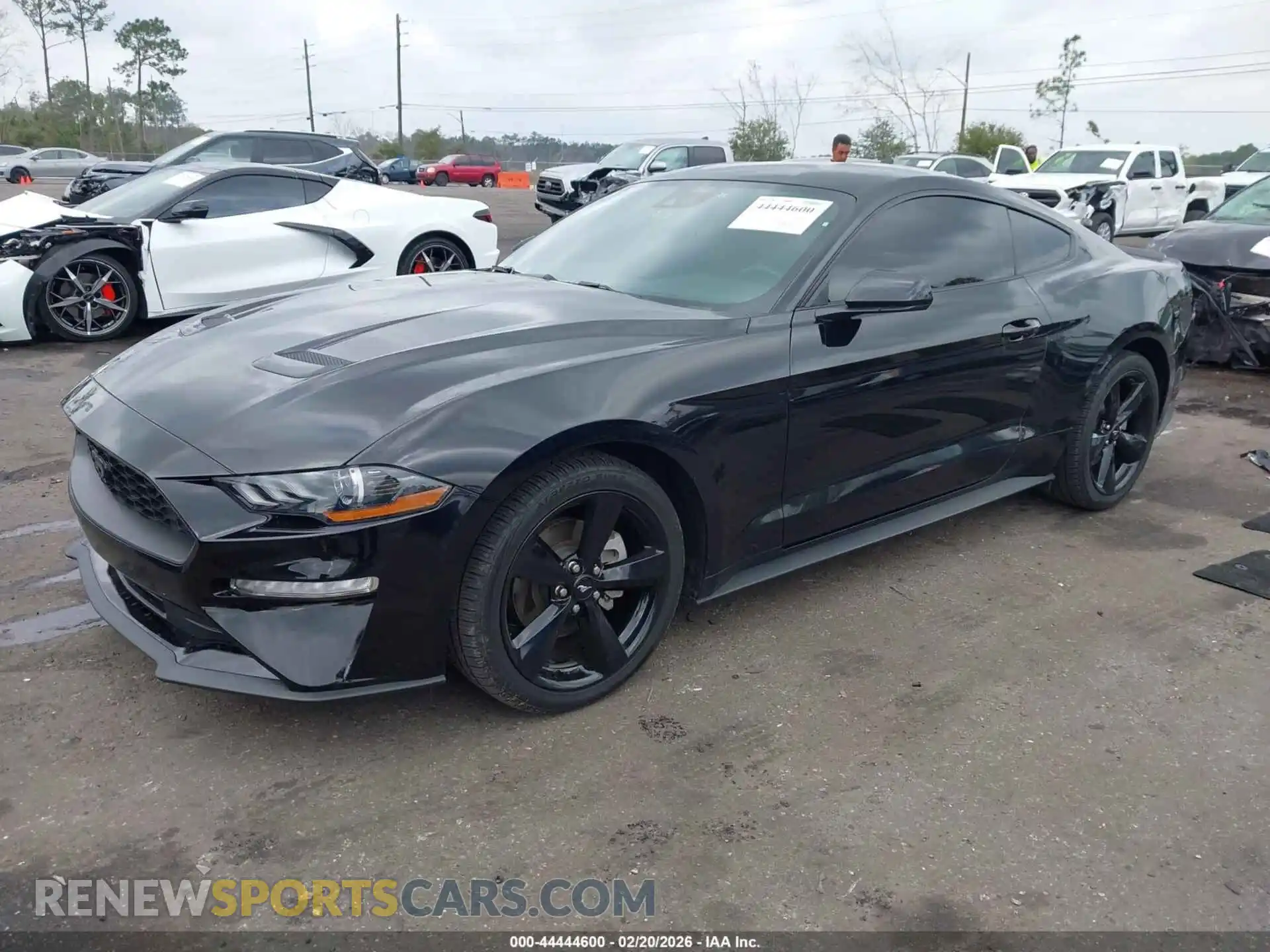 2 fotografías del automóvil dañado 1FA6P8TH3M5134621 FORD MUSTANG 2021