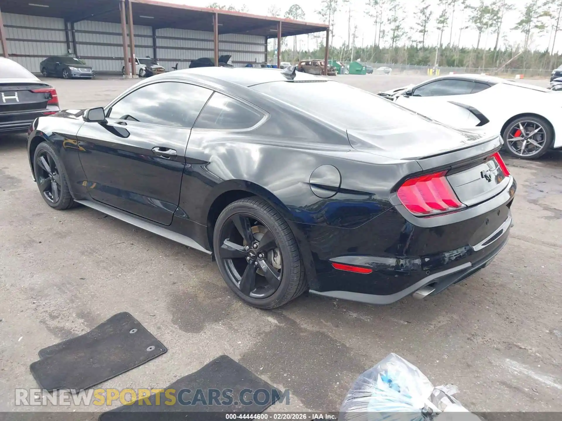 3 fotografías del automóvil dañado 1FA6P8TH3M5134621 FORD MUSTANG 2021